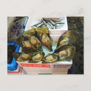 Giant Mussels Tsukiji Fish Market, Tokyo, Japan Postcard