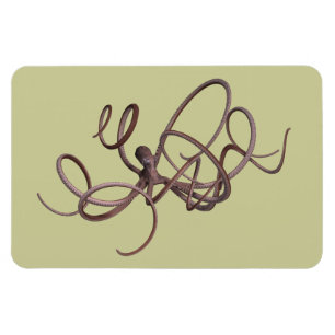 Giant Octopus Magnet
