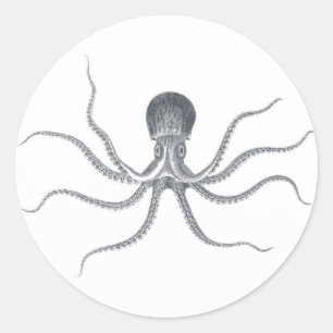 Giant Octopus Nautical Design Classic Round Sticker
