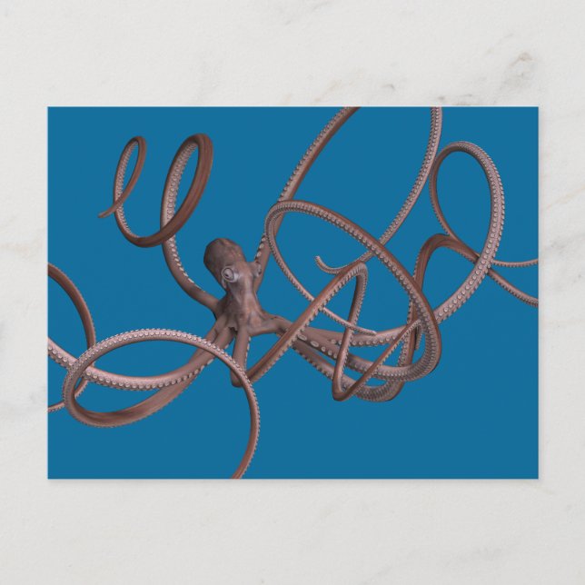 Giant Octopus Postcard (Front)