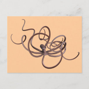 Giant Octopus Postcard