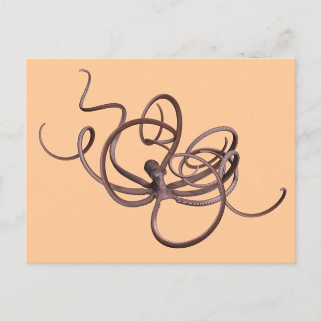 Giant Octopus Postcard (Front)