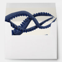 Giant Octopus Tentacles