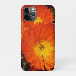 Giant Orange Daisies,   iPhone 11 Pro Case
