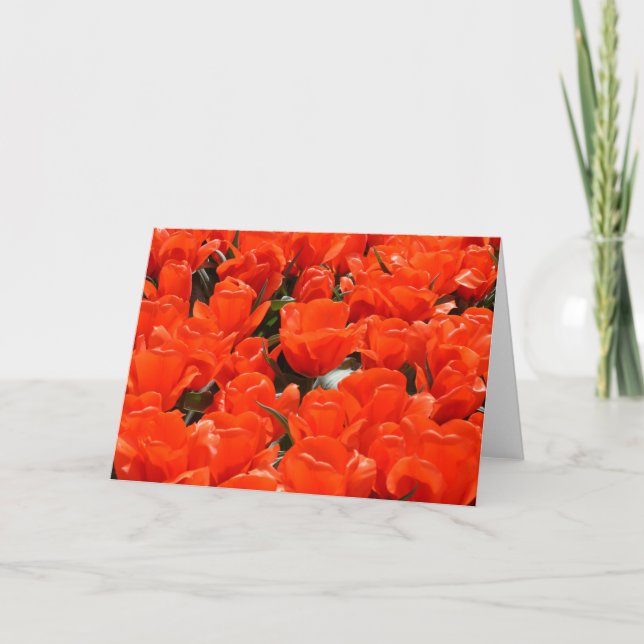 Giant orange tulips holiday card (Front)