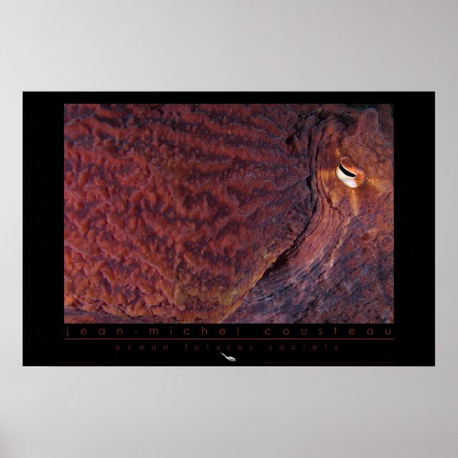 Giant Pacific Octopus Poster (Front)