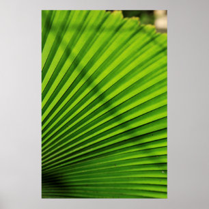 Giant Palm Leaf Pattern Poster