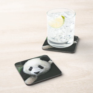 Giant Panda Among Green Grass Coaster