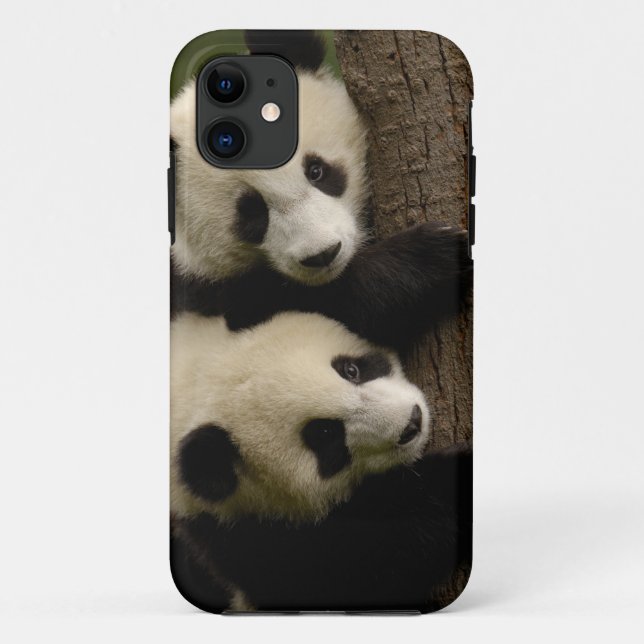Giant panda babies (Ailuropoda melanoleuca) 2 Case-Mate iPhone Case (Back)