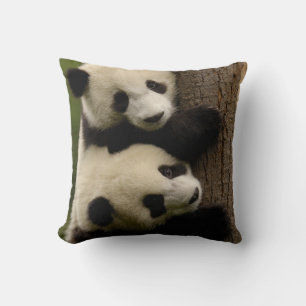 Giant panda babies (Ailuropoda melanoleuca) 2 Cushion