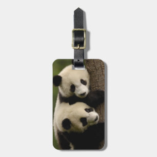 Giant panda babies (Ailuropoda melanoleuca) 2 Luggage Tag