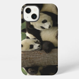 Giant panda babies Ailuropoda melanoleuca) 4 iPhone 13 Case