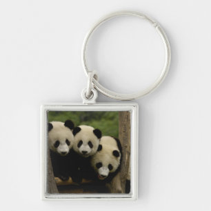 Giant panda babies Ailuropoda melanoleuca) Key Ring