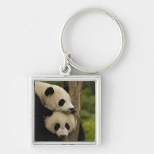 Giant panda babies Ailuropoda melanoleuca) Key Ring