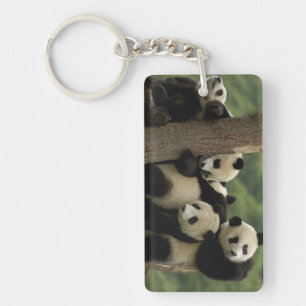 Giant panda babies Ailuropoda melanoleuca) Key Ring