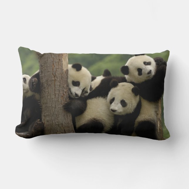 Giant panda babies Ailuropoda melanoleuca) Lumbar Cushion (Front)