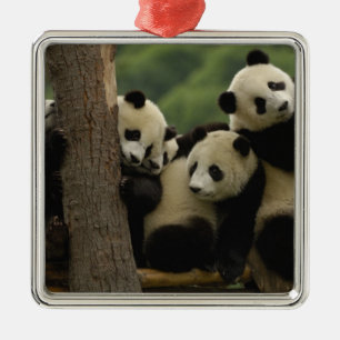Giant panda babies Ailuropoda melanoleuca) Metal Tree Decoration