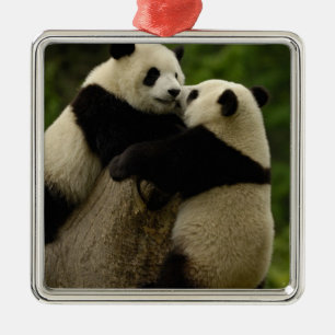 Giant panda babies (Ailuropoda melanoleuca) Metal Tree Decoration