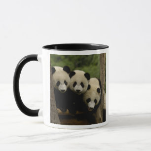 Giant panda babies Ailuropoda melanoleuca) Mug