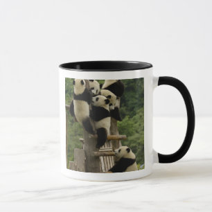 Giant panda babies Ailuropoda melanoleuca) Mug