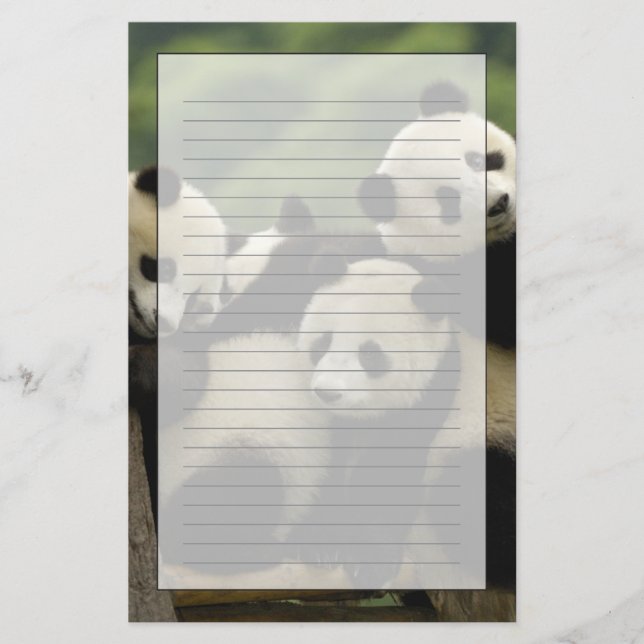 Giant panda babies Ailuropoda melanoleuca) Stationery (Front)
