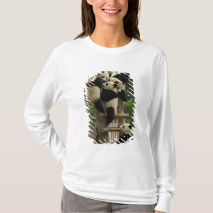Giant panda babies Ailuropoda melanoleuca) T-Shirt