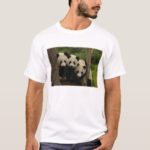 Giant panda babies Ailuropoda melanoleuca) T-Shirt