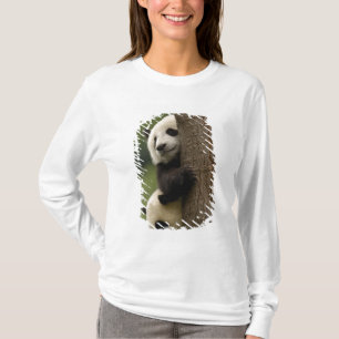 Giant panda babies Ailuropoda melanoleuca) T-Shirt