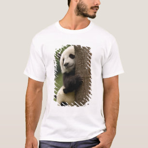 Giant panda babies Ailuropoda melanoleuca) T-Shirt