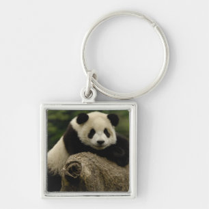 Giant panda baby Ailuropoda melanoleuca) Key Ring