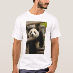 Giant panda baby Ailuropoda melanoleuca) T-Shirt