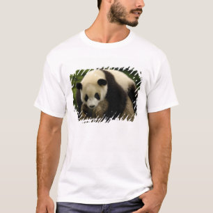 Giant panda baby (Ailuropoda melanoleuca) T-Shirt