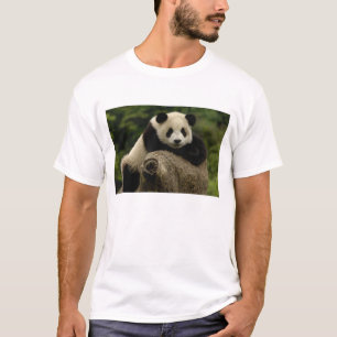Giant panda baby Ailuropoda melanoleuca) T-Shirt