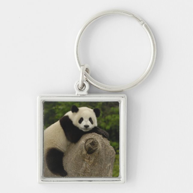 Giant panda baby key ring (Front)