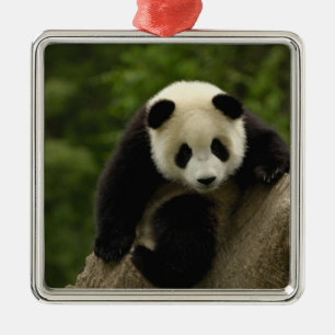 Giant panda baby metal tree decoration