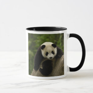 Giant panda baby mug