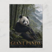 Giant Panda Bamboo Forest ANIMALS