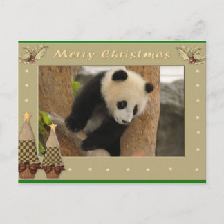 Giant Panda Bear & Baby Panda Christmas Card