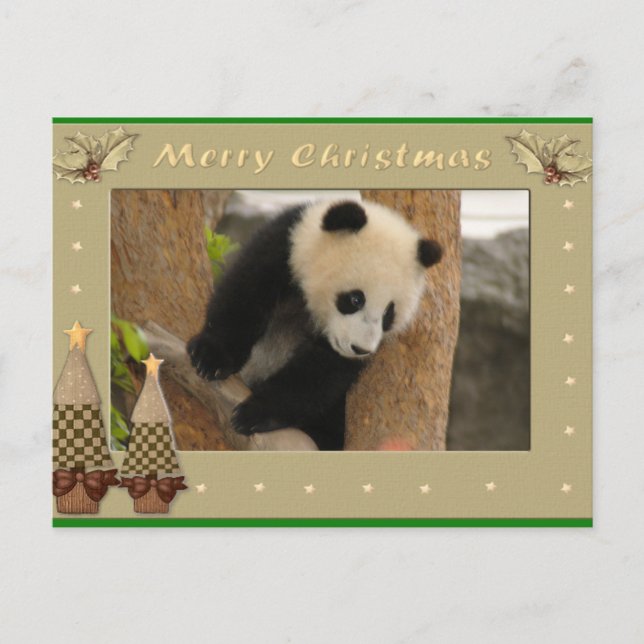Giant Panda Bear & Baby Panda Christmas Card (Front)