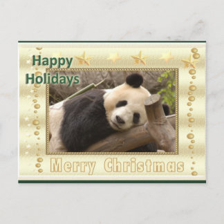 Giant Panda Bear & Baby Panda Christmas Card