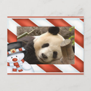 Giant Panda Bear & Baby Panda Christmas Card