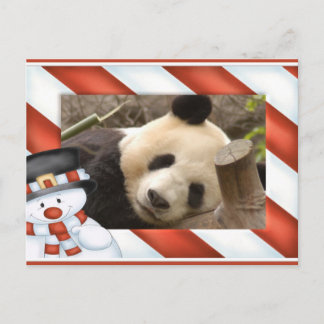 Giant Panda Bear & Baby Panda Christmas Card