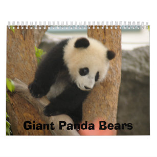 Giant Panda Bear Calendar, Giant Panda Bears Calendar