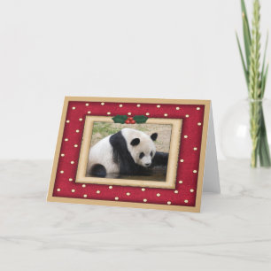 Giant Panda Bear Christmas card