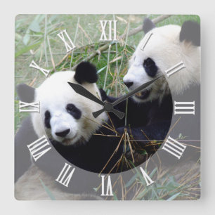 Giant Panda Bears do Love playing / family Pandas Square Wall Clock