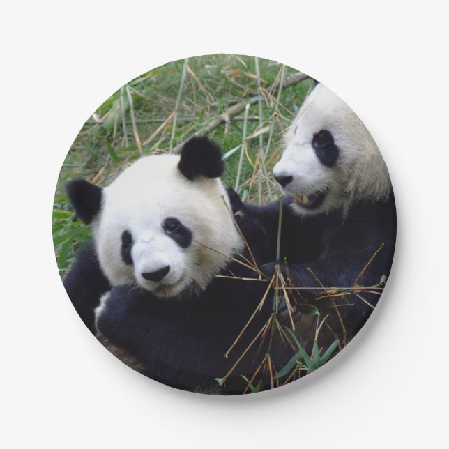 Giant Panda Bears Eating Bamboo (kids party) Paper Plate (Front)