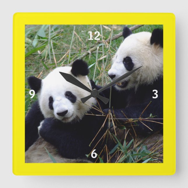 Giant Panda Bears Playing & Bamboo Eating (funny) Square Wall Clock (Front)