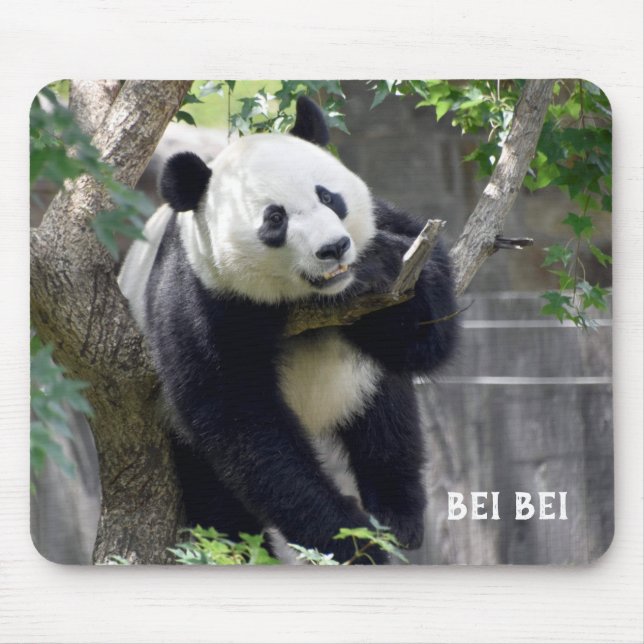 Giant Panda Bei Bei Mousepad (Front)