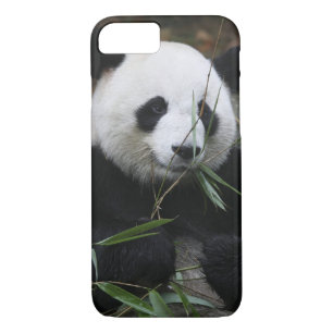 Giant panda iPhone 8/7 case
