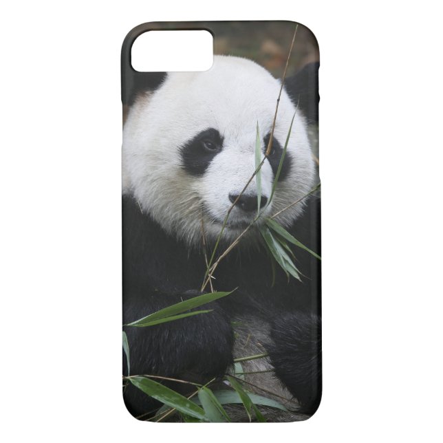 Giant panda Case-Mate iPhone case (Back)